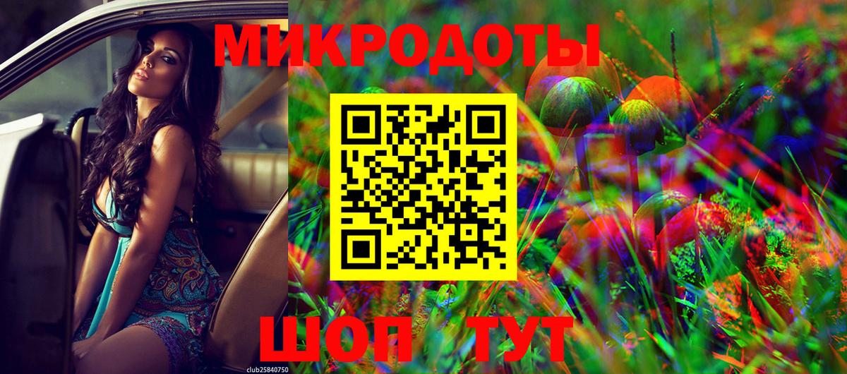 Псилоцибиновые грибы прущие грибы Кудрово