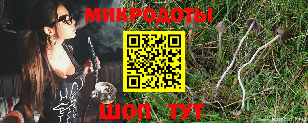 Псилоцибиновые грибы ЛСД  Вход с VPN  Кудрово 